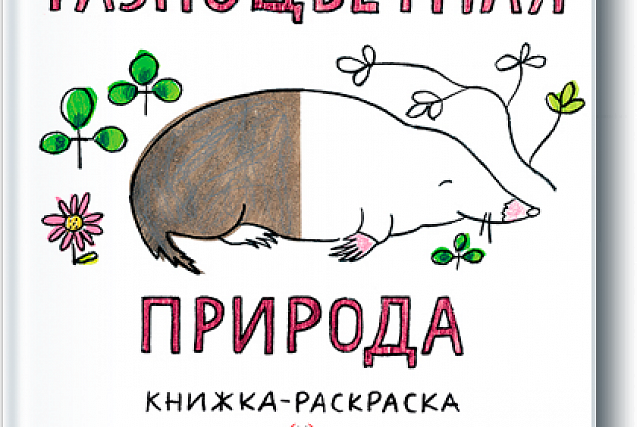 Книжный обзор. Франческо Пито и Бернадет Жерве «Разноцветная природа»